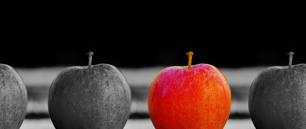 Videoproduktionen nadelberg, Basel